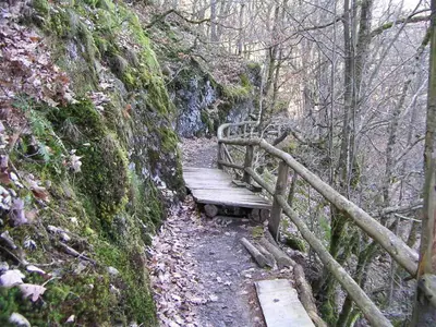 Tolle Pfade zum erkunden