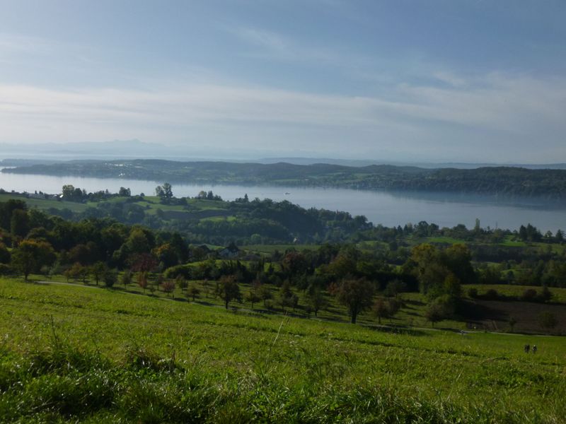 23585908-Ferienwohnung-4-Überlingen-800x600-2