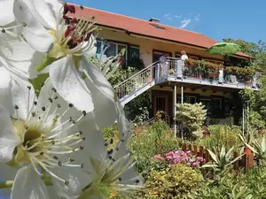 Ferienwohnung für 4 Personen (65 m²) in Überlingen