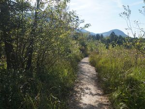 18807310-Ferienwohnung-3-Übersee-300x225-2