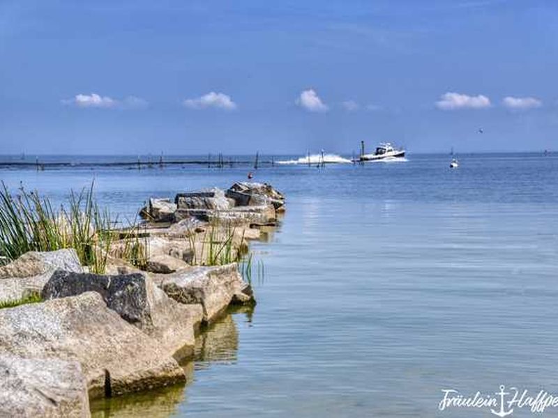 23336842-Ferienwohnung-5-Ueckermünde-800x600-2