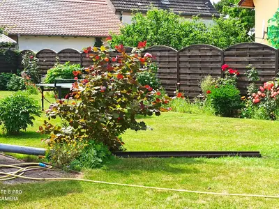 Ferienwohnung für 3 Personen (50 m²) in Ueckermünde 5/10