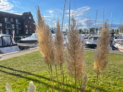 Ferienwohnung für 2 Personen (25 m²) in Ueckermünde 10/10