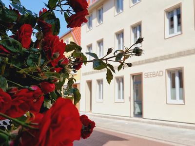 Ferienwohnung für 4 Personen (64 m²) in Ueckermünde 9/10