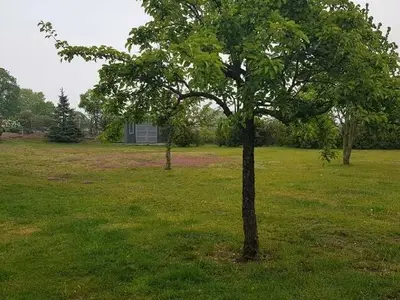 Ferienwohnung für 3 Personen in Ueckermünde 5/10