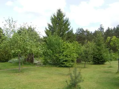 Ferienwohnung für 4 Personen (65 m²) in Hoppenwalde 9/10