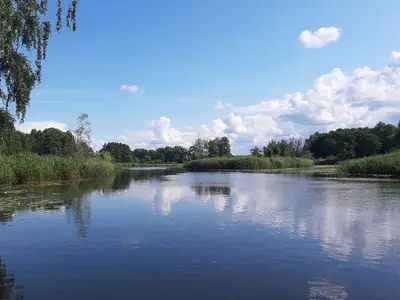 Ferienwohnung für 2 Personen (48 m²) in Ueckermünde 5/10