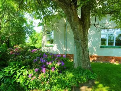 Ferienwohnung für 4 Personen (65 m²) in Ueckermünde 5/10