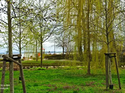 Ferienwohnung für 2 Personen (50 m²) in Ueckermünde 9/10