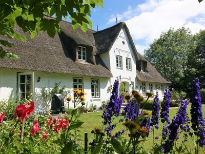 Ferienwohnung für 4 Personen (75 m²) in Uelvesbüll 3/10