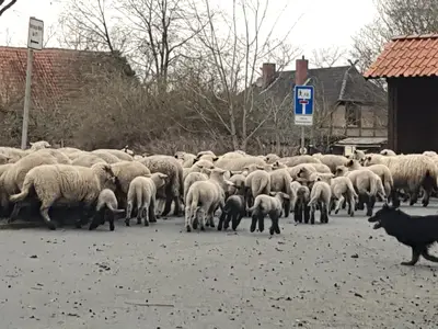 Landleben