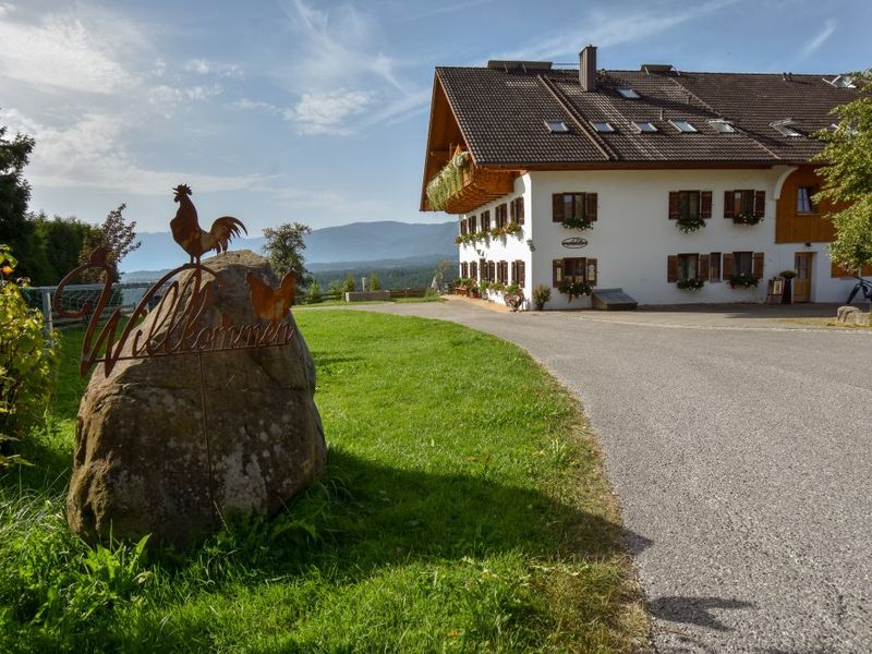 22219819-Ferienwohnung-4-Uffing am Staffelsee-800x600-1