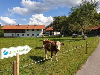 Ferienwohnung für 3 Personen (65 m²) in Uffing am Staffelsee 9/10