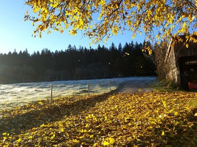 Ferienwohnung für 3 Personen (65 m²) in Uffing am Staffelsee 10/10