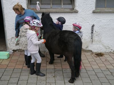 Vorbereitung zum reiten