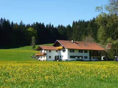 Ferienwohnung für 3 Personen (55 m²) in Uffing am Staffelsee 3/10