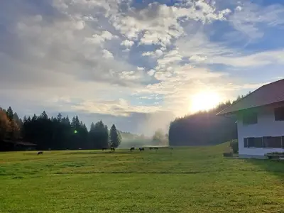Ferienwohnung für 3 Personen (55 m²) in Uffing am Staffelsee 5/10