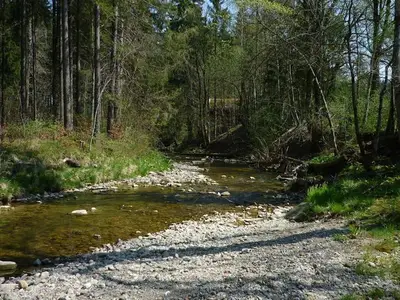 Ferienwohnung für 3 Personen (55 m²) in Uffing am Staffelsee 6/10