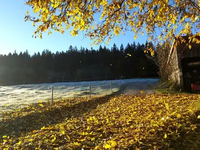 Ferienwohnung für 3 Personen (55 m²) in Uffing am Staffelsee 10/10