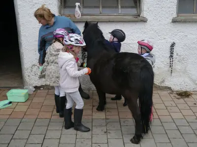 Vorbereitung zum reiten