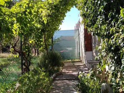 Ferienwohnung für 4 Personen in Ugljan 8/10