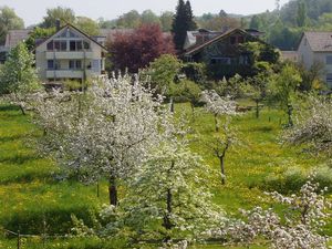 21633553-Ferienwohnung-1-Uhldingen-Mühlhofen-300x225-1