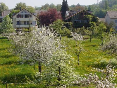 Ferienwohnung für 1 Person (42 m²) in Uhldingen-Mühlhofen 2/10