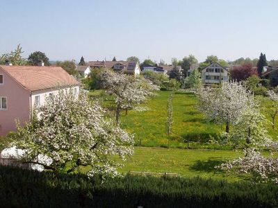 Ferienwohnung für 1 Person (42 m²) in Uhldingen-Mühlhofen 4/10