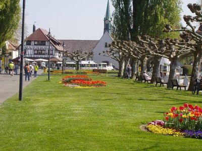 Ferienwohnung für 1 Person (42 m²) in Uhldingen-Mühlhofen 9/10