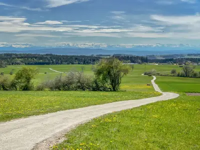 "Hausberg" von Birkendorf - der Bühl mit Sicht zu den Schweizer Alpen