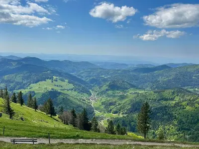 Blick vom Belchen