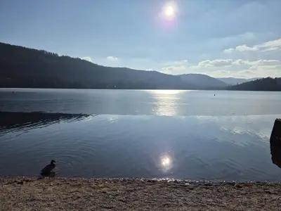 Winterruhe genießen am Schluchsee