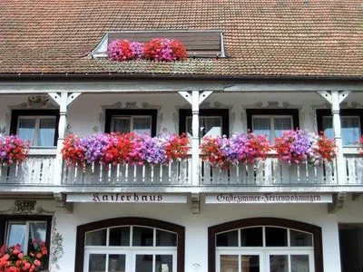 Ferienwohnung für 4 Personen (50 m²) in Ühlingen-Birkendorf 2/10