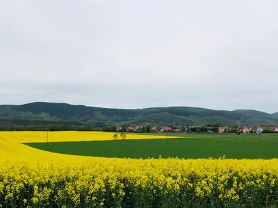 Ferienwohnung für 2 Personen (60 m²) in Uhlstädt-Kirchhasel 4/10