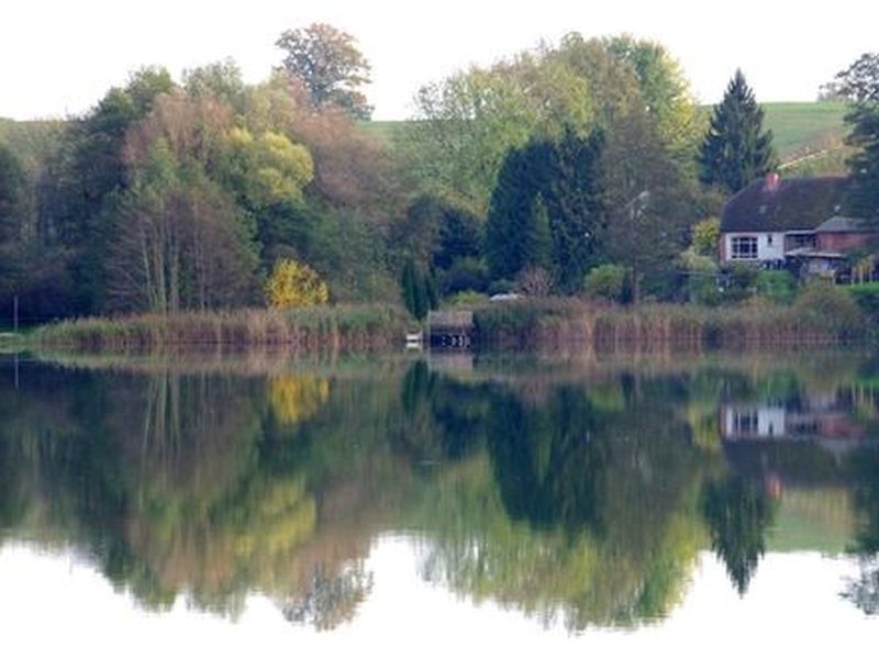 23551386-Ferienwohnung-5-Ulrichshusen-800x600-0