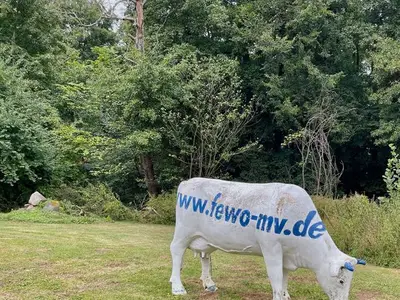Ferienwohnung für 6 Personen (85 m²) in Ulrichshusen 6/10