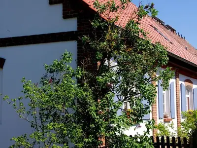 Ferienwohnung für 5 Personen (50 m²) in Ulrichshusen 5/10