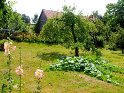 Ferienwohnung für 5 Personen (50 m²) in Ulrichshusen 7/10