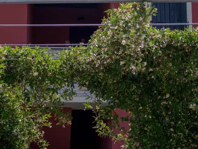 Ferienwohnung für 6 Personen (75 m²) in Umag 9/10
