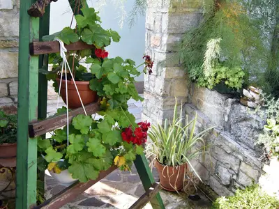 Ferienwohnung für 2 Personen (30 m²) in Umag 2/10