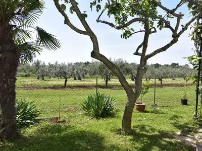 Ferienwohnung für 3 Personen in Umag 3/10