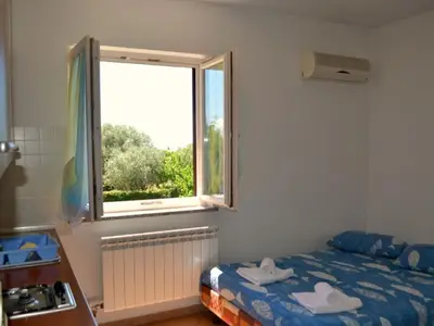Das Wohnzimmer mit dem Schlafsofa für 2 Personen mit Blick auf den Park