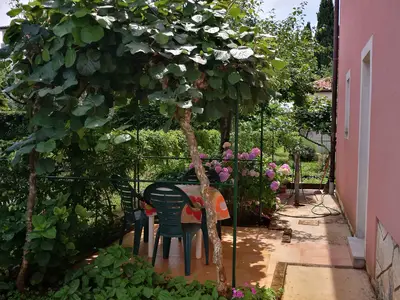 Ferienwohnung für 3 Personen (30 m²) in Umag 2/10