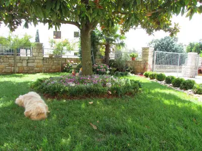 Ferienwohnung für 2 Personen (33 m²) in Umag 4/10