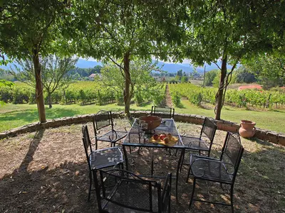 TerraceBalcony