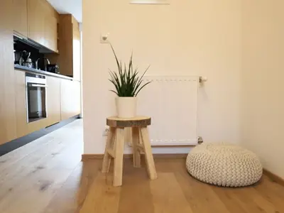 Ferienwohnung für 4 Personen (60 m²) in Umhausen 9/10