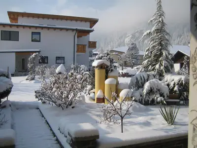 Winter im Garten