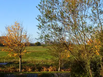 Ausblick aus dem Fenster. Blick von Loggia