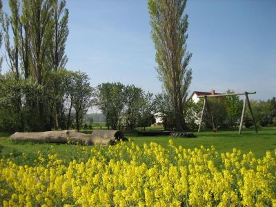 Garten. Spielplatz im Garten