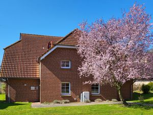 Ferienwohnung für 4 Personen (50 m&sup2;) in Ummanz